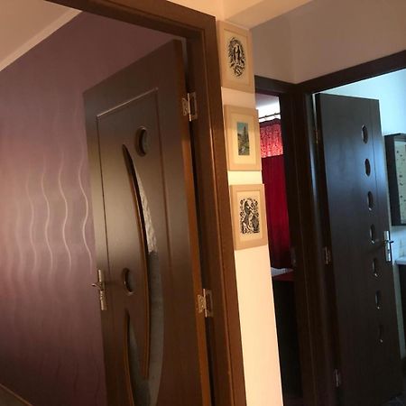 Apartament Cu 3 Camere La Poala Muntilor Fagaras วิกตอเรีย ภายนอก รูปภาพ