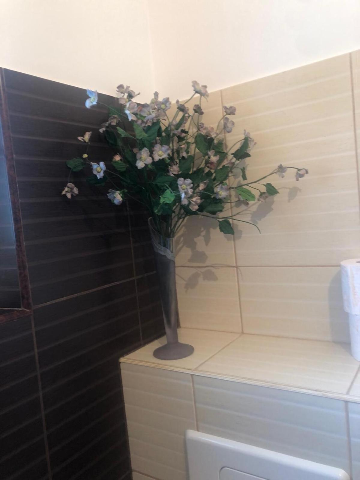 Apartament Cu 3 Camere La Poala Muntilor Fagaras วิกตอเรีย ภายนอก รูปภาพ