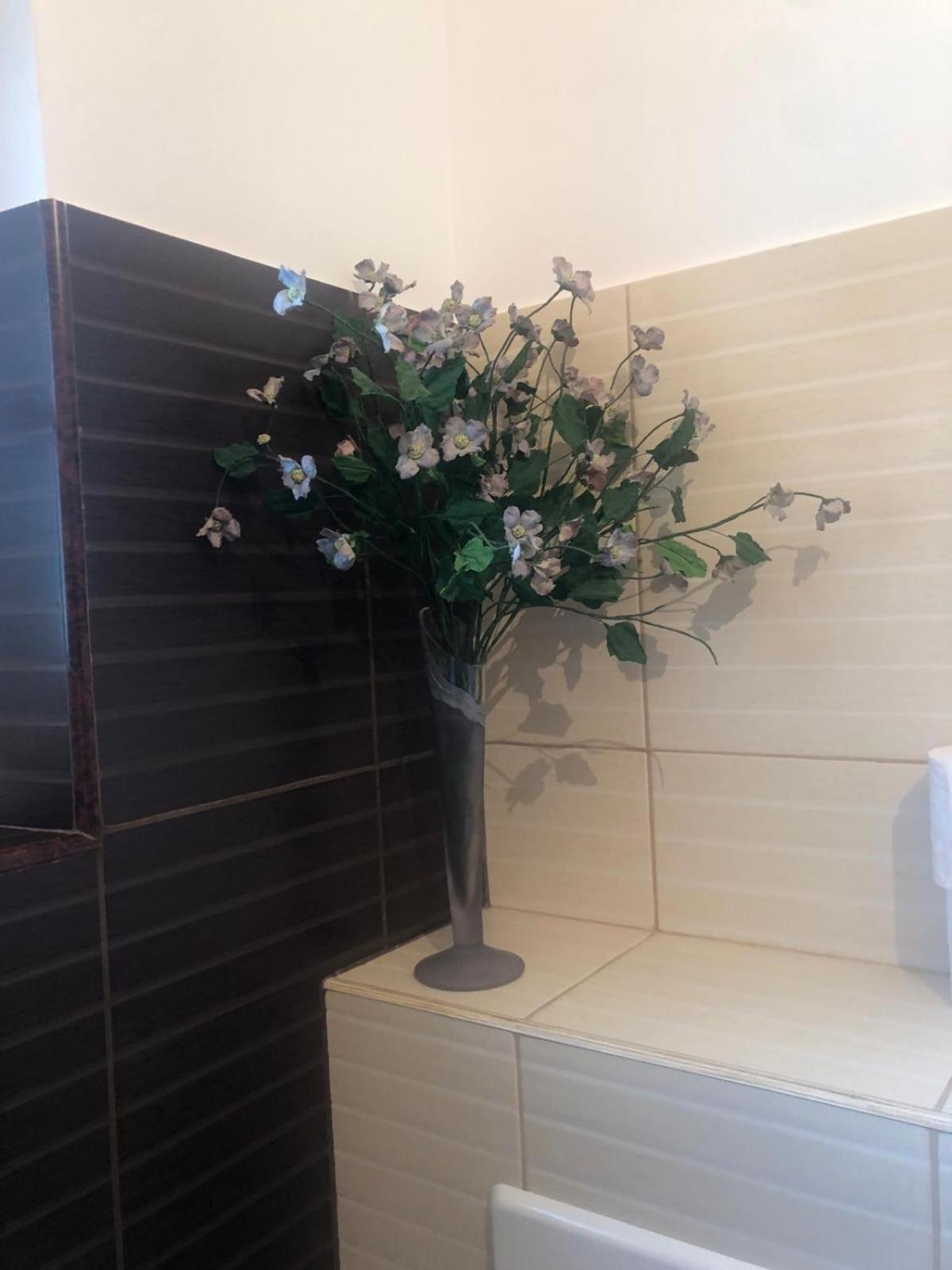 Apartament Cu 3 Camere La Poala Muntilor Fagaras วิกตอเรีย ภายนอก รูปภาพ