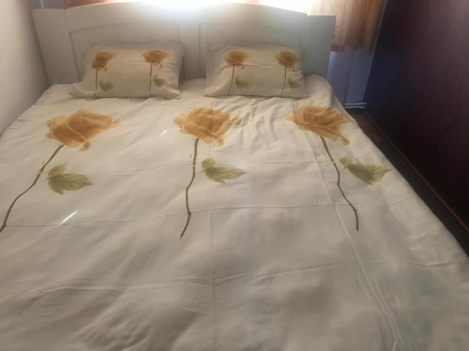 Apartament Cu 3 Camere La Poala Muntilor Fagaras วิกตอเรีย ภายนอก รูปภาพ